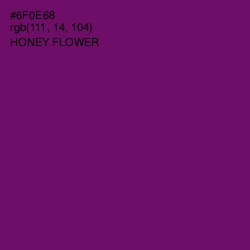 #6F0E68 - Honey Flower Color Image