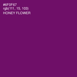 #6F0F67 - Honey Flower Color Image