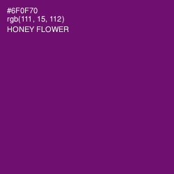 #6F0F70 - Honey Flower Color Image