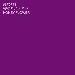 #6F0F71 - Honey Flower Color Image