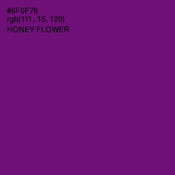 #6F0F78 - Honey Flower Color Image