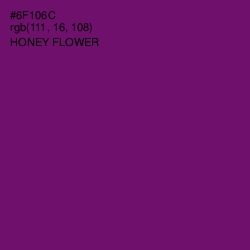 #6F106C - Honey Flower Color Image