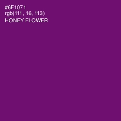 #6F1071 - Honey Flower Color Image