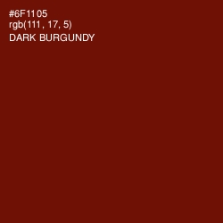 #6F1105 - Dark Burgundy Color Image