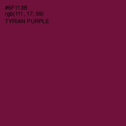 #6F113B - Tyrian Purple Color Image