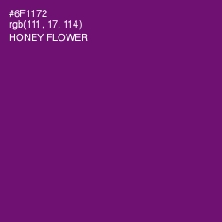 #6F1172 - Honey Flower Color Image