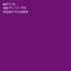 #6F1173 - Honey Flower Color Image