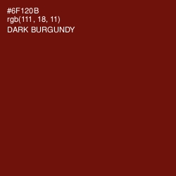 #6F120B - Dark Burgundy Color Image