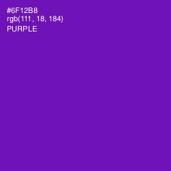 #6F12B8 - Purple Color Image