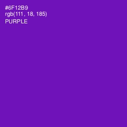#6F12B9 - Purple Color Image