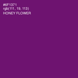 #6F1371 - Honey Flower Color Image