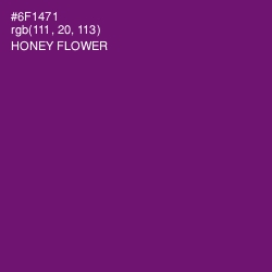 #6F1471 - Honey Flower Color Image