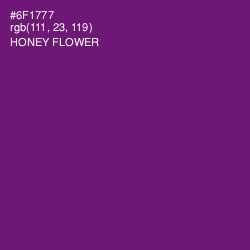 #6F1777 - Honey Flower Color Image