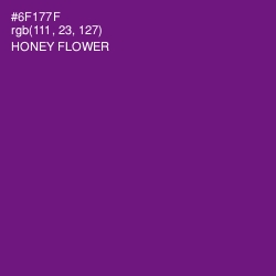 #6F177F - Honey Flower Color Image