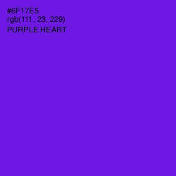 #6F17E5 - Purple Heart Color Image