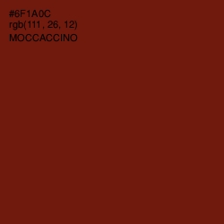 #6F1A0C - Moccaccino Color Image