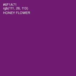 #6F1A71 - Honey Flower Color Image