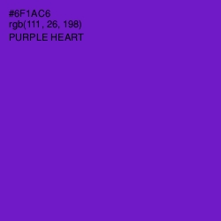 #6F1AC6 - Purple Heart Color Image