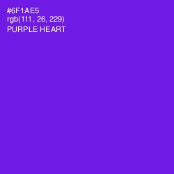 #6F1AE5 - Purple Heart Color Image