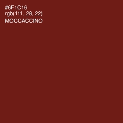 #6F1C16 - Moccaccino Color Image