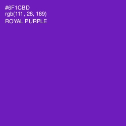 #6F1CBD - Royal Purple Color Image
