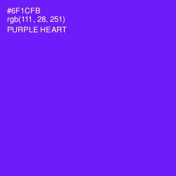 #6F1CFB - Purple Heart Color Image