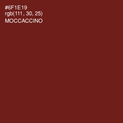 #6F1E19 - Moccaccino Color Image