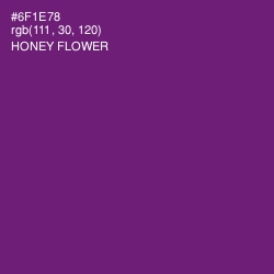 #6F1E78 - Honey Flower Color Image