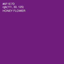 #6F1E7D - Honey Flower Color Image