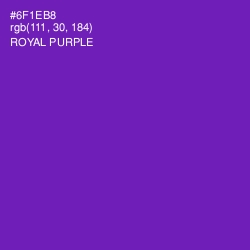 #6F1EB8 - Royal Purple Color Image