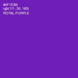 #6F1EB9 - Royal Purple Color Image