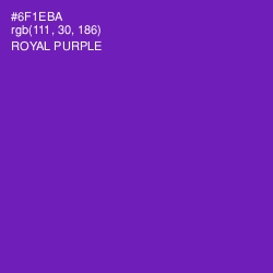 #6F1EBA - Royal Purple Color Image