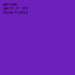 #6F1FBB - Royal Purple Color Image