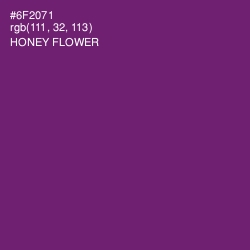 #6F2071 - Honey Flower Color Image