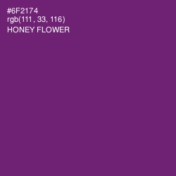 #6F2174 - Honey Flower Color Image