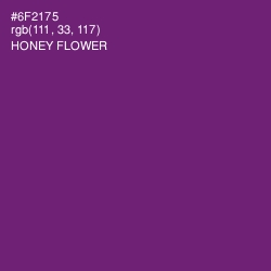 #6F2175 - Honey Flower Color Image