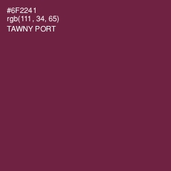 #6F2241 - Tawny Port Color Image