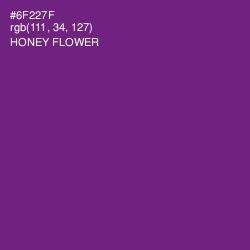 #6F227F - Honey Flower Color Image