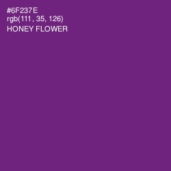 #6F237E - Honey Flower Color Image