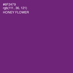 #6F2479 - Honey Flower Color Image