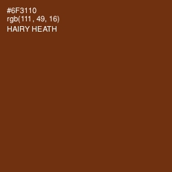 #6F3110 - Hairy Heath Color Image