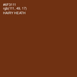 #6F3111 - Hairy Heath Color Image