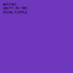 #6F37BC - Royal Purple Color Image