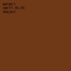 #6F3817 - Walnut Color Image