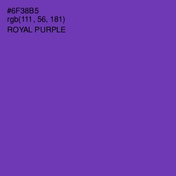 #6F38B5 - Royal Purple Color Image