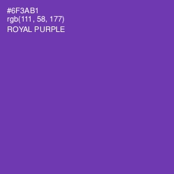 #6F3AB1 - Royal Purple Color Image