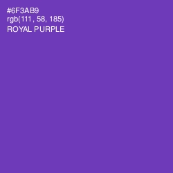 #6F3AB9 - Royal Purple Color Image