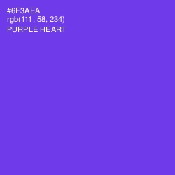 #6F3AEA - Purple Heart Color Image