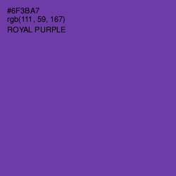 #6F3BA7 - Royal Purple Color Image