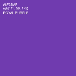 #6F3BAF - Royal Purple Color Image